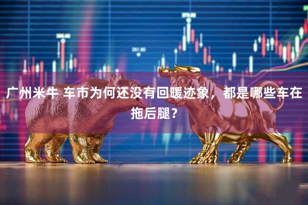 广州米牛 车市为何还没有回暖迹象，都是哪些车在拖后腿？