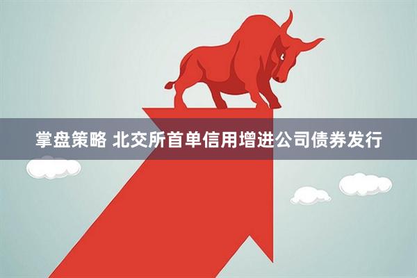 掌盘策略 北交所首单信用增进公司债券发行